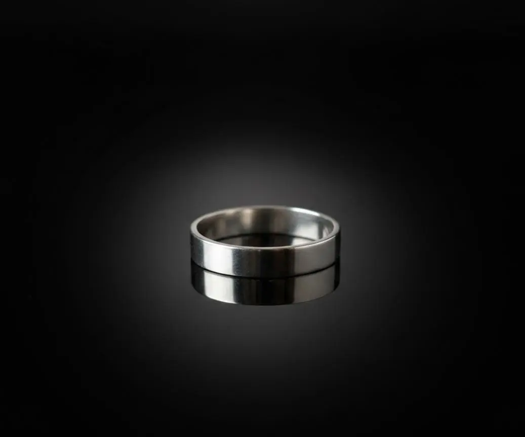 Vista de Classic Flat Band Ring in 925 Silver
